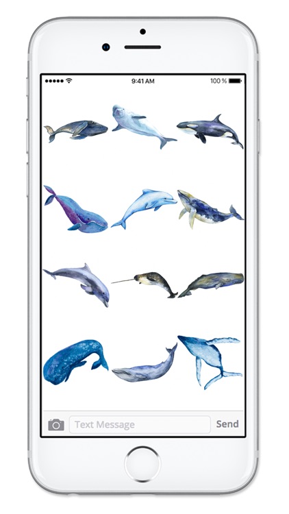 Watercolor Whales and Dolphins Ocean Sticker Pack screenshot-3