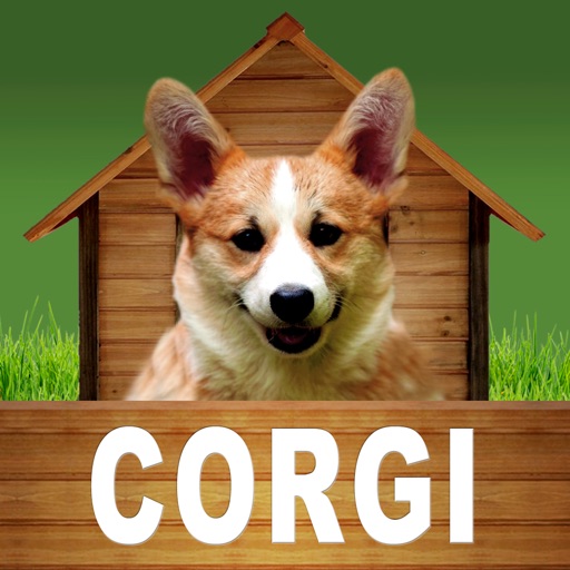Corgi - opoly icon