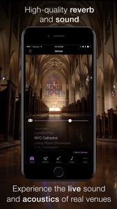 LiveTunes - Concert FX Player screenshot #4 for iPhone