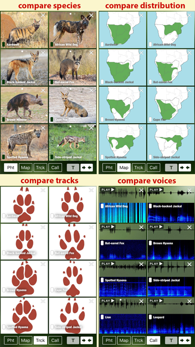 Screenshot #3 pour Mammal Guide of Southern Africa