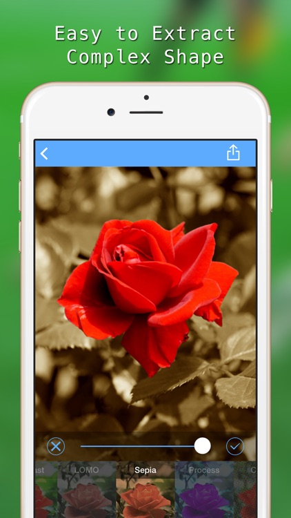Magic Focus Lite screenshot-3