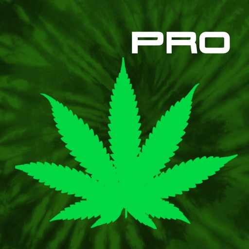 Cannabis News Pro Icon