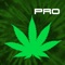 Stay informed with the latest in Cannabis News with #1 Cannabis app
