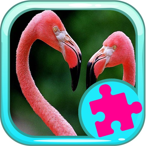 Puzzles Animal Games For Children