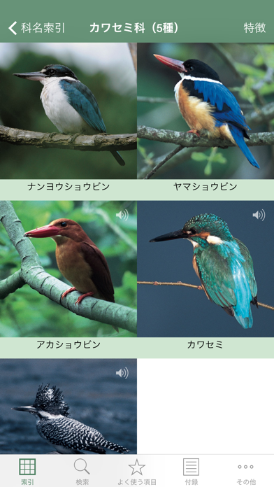 日本の野鳥（山溪ハンディ図鑑）のおすすめ画像2