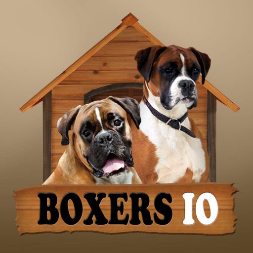 Boxers IO (Opoly) icon