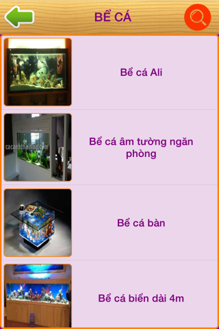 Cá Cảnh Thái Hoà screenshot 3