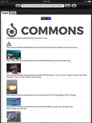 web images lite ipad resimleri 3