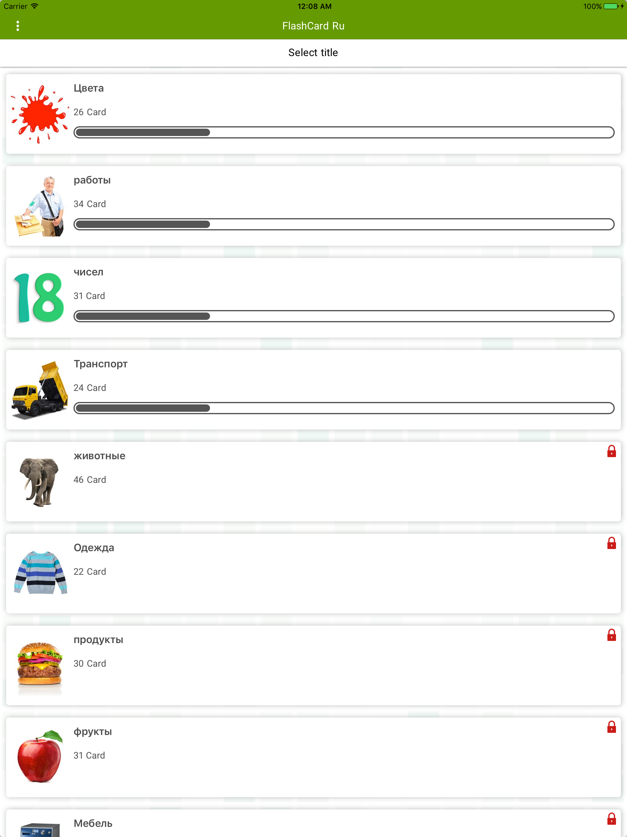 Russian Flashcard for Learning screenshot 7
