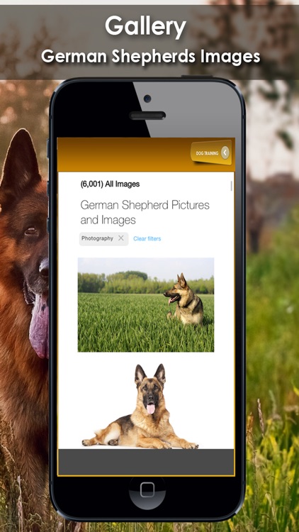 K9 German Shepherds Watch Dogs - Adoption & Rescue screenshot-3