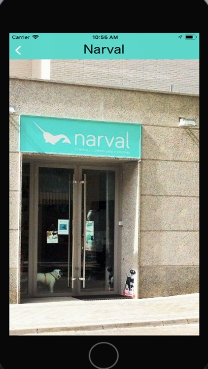 Narval