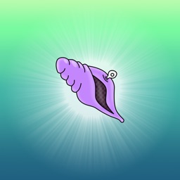 Almighty Magic Mussel