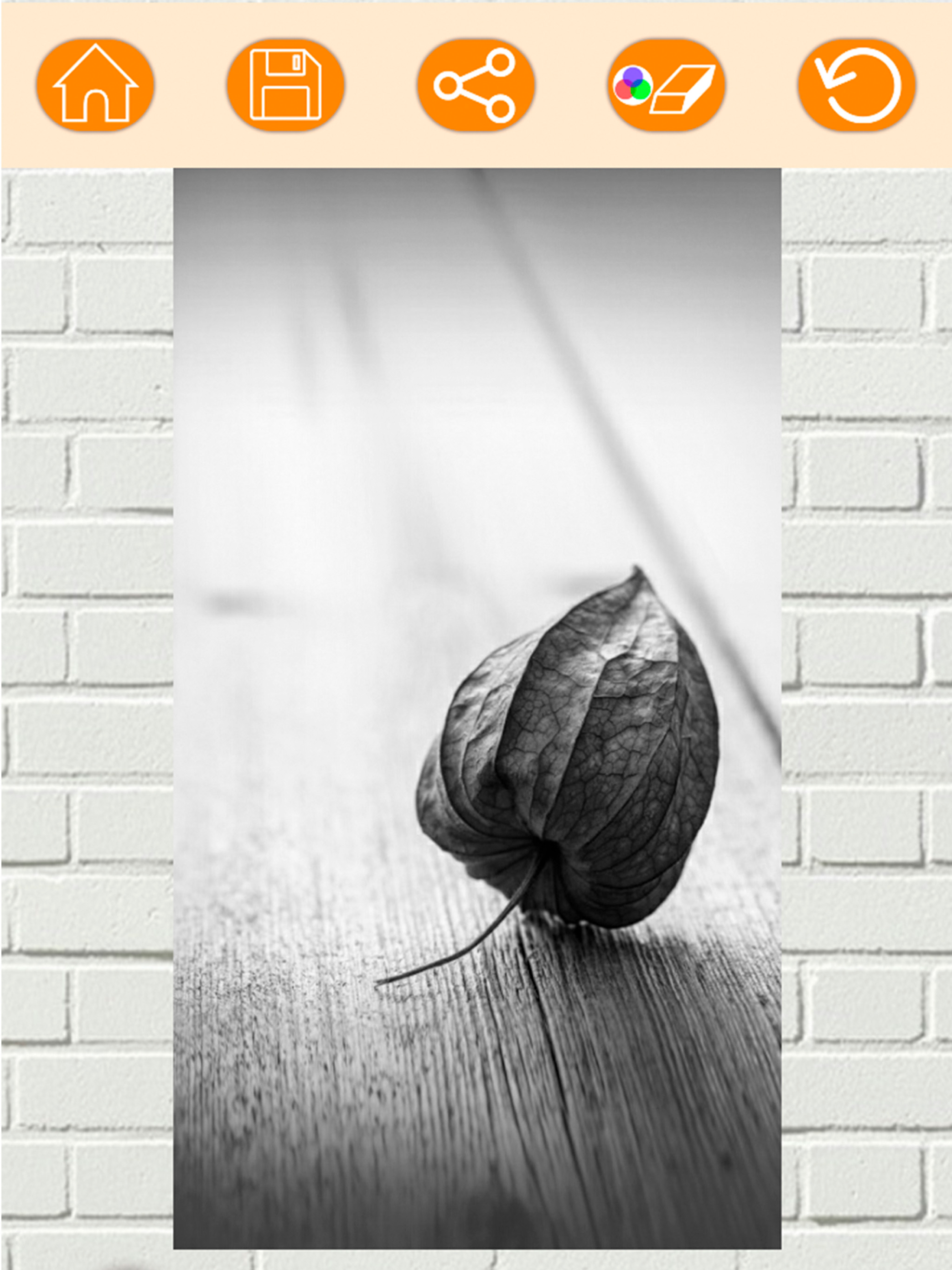 Color effects photo editor – Recolor pictures screenshot 9