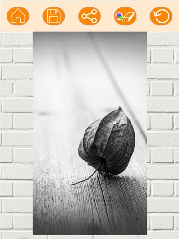 Color effects photo editor – Recolor pictures iPad screenshot