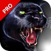 Black Panther Hunting 3D Game Pro