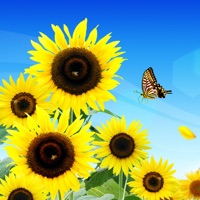 壁纸主题大全10000+每天更新 app icon - Utilities app for iPhone