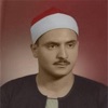 القارئ محمد المنشاوي - بدون انترنت icon