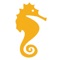 iSeahorse is a tool for seahorse science and conservation