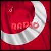 Danish Radio LIve - Internet Stream Player