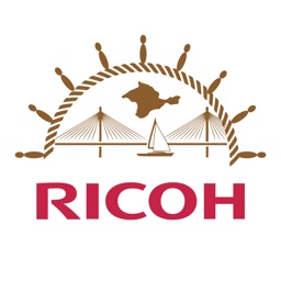 Ricoh Бизнес-Мосты