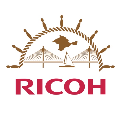 Ricoh Бизнес-Мосты