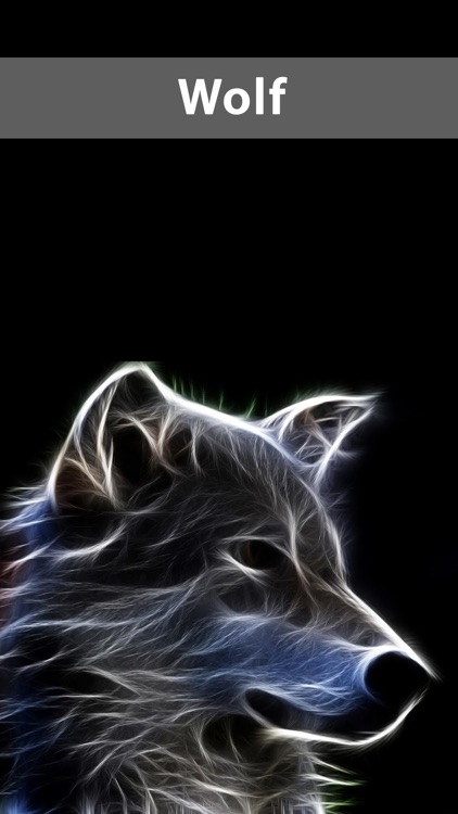 Amazing Wolf Wallpapers by Syed Hussain