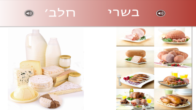 HebrewVision Food Screenshot 4