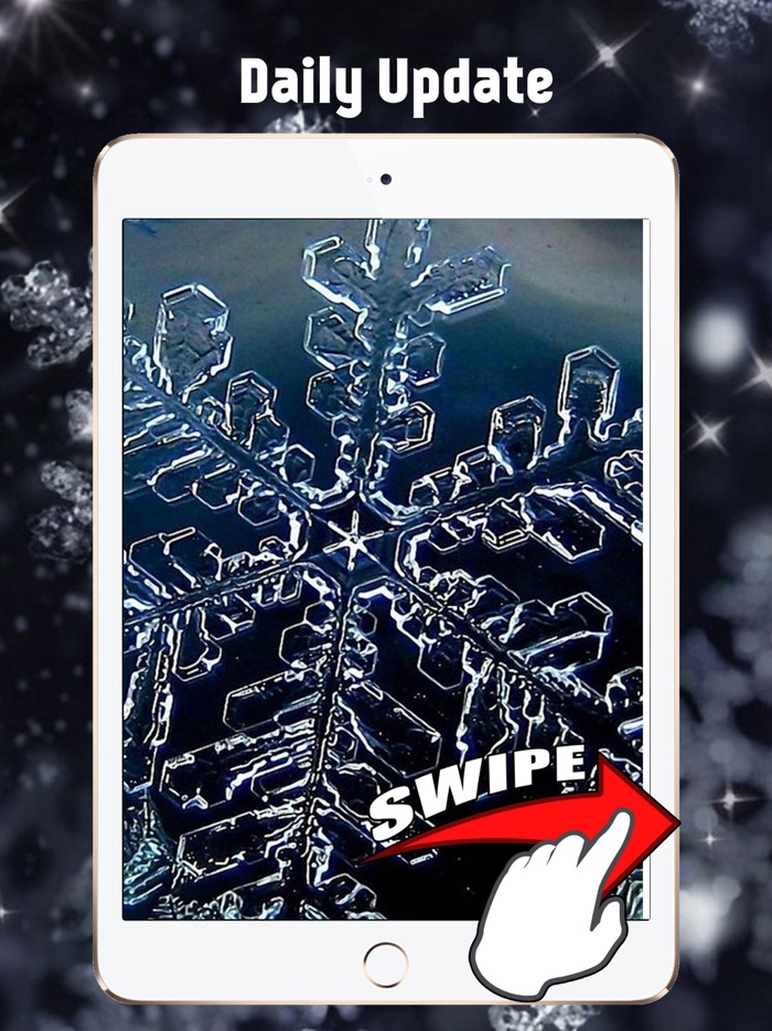 雪と凍ったの壁紙