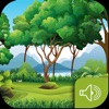 Sound OF The Forest - Exclusive Jungle Soundboard - iPadアプリ