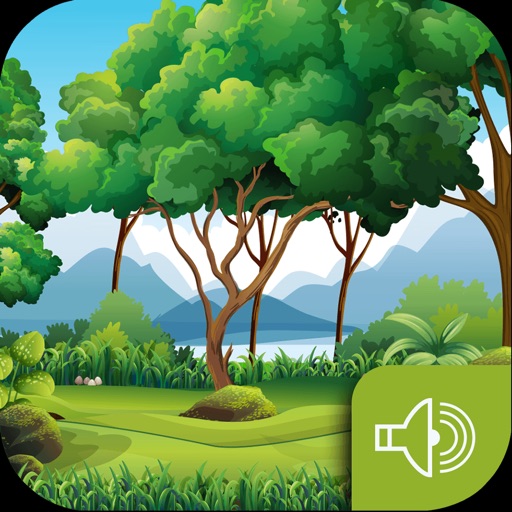 Sound OF The Forest - Exclusive Jungle Soundboard - AppWisp.com