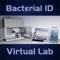 Learn about the science and techniques used to identify different types of bacteria based on their DNA sequences