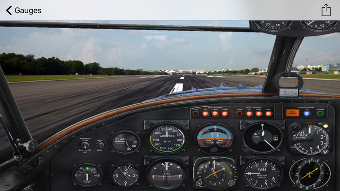FSX Animated Cockpits