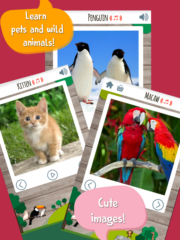 Screenshot #6 pour Kids Zoo Game