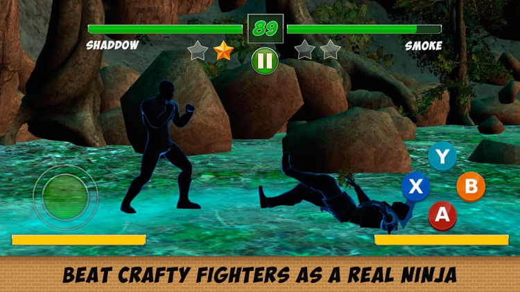 Shadow Kung Fu Fighting 3D - 2