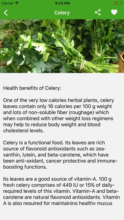 Herb For Health