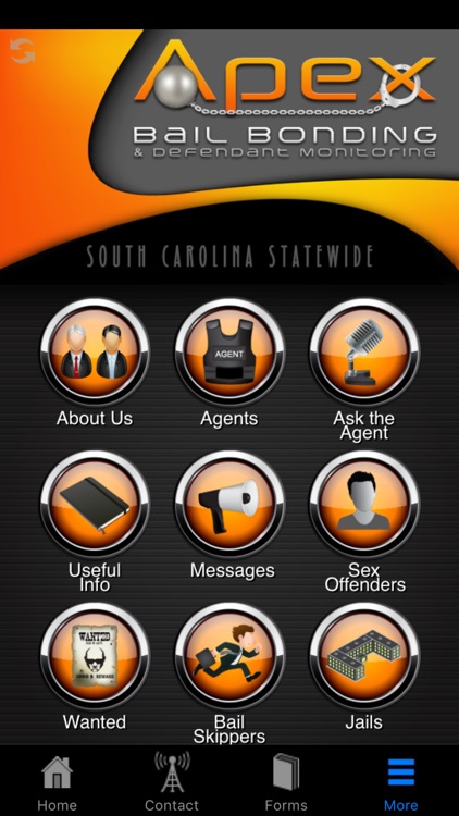 Apex Bail screenshot-3