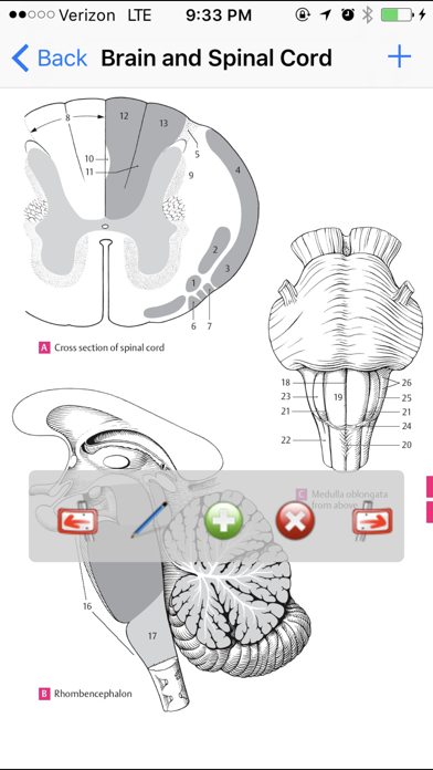 Anatomy Atlas screenshot1