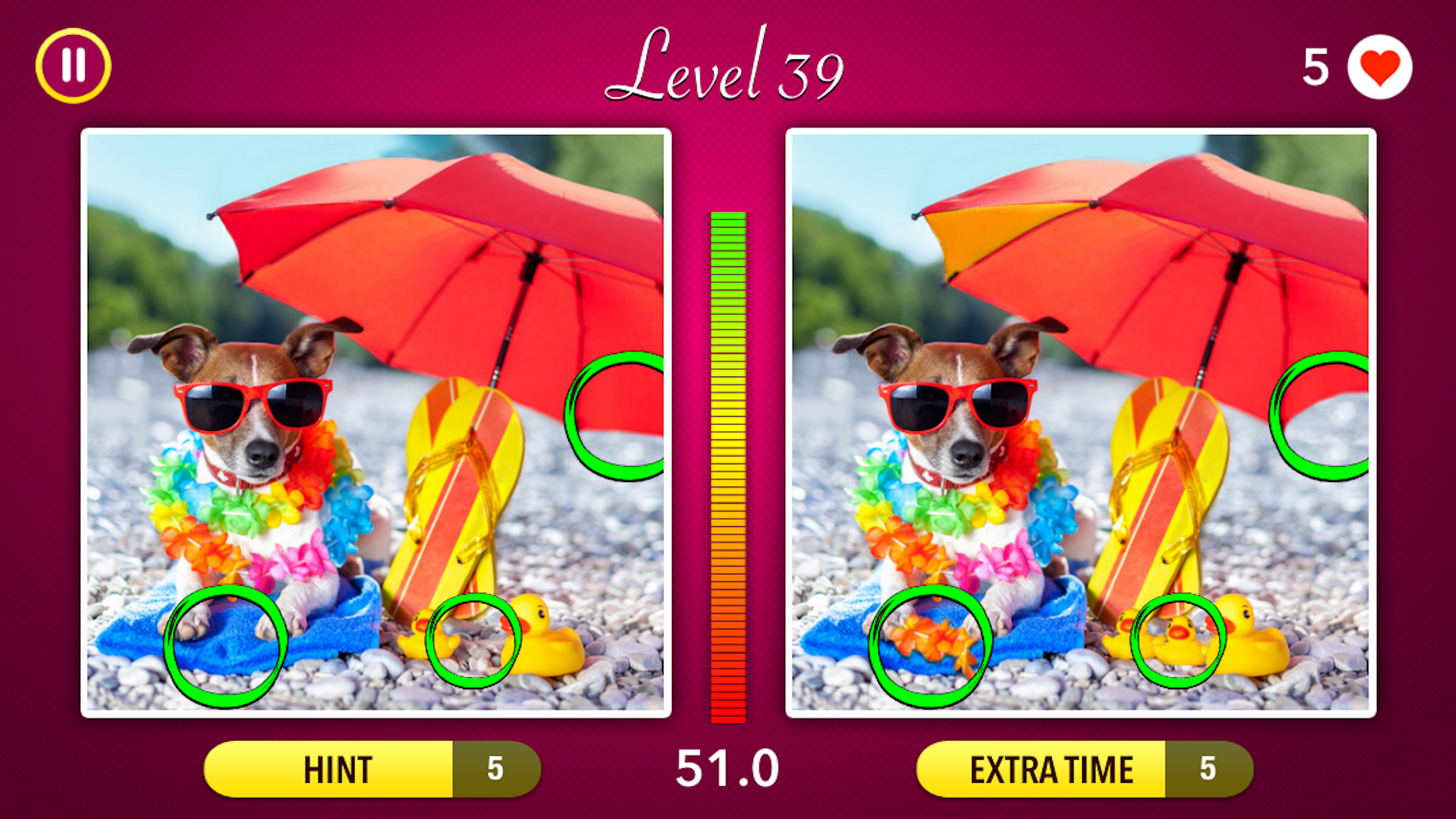 Spot the Difference! ~ Fun Puzzle Games