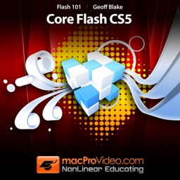 Course For Adobe Flash