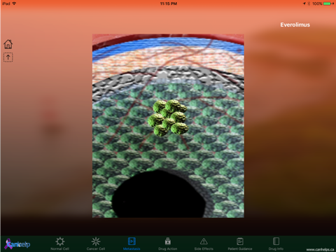 Everolimus screenshot 2