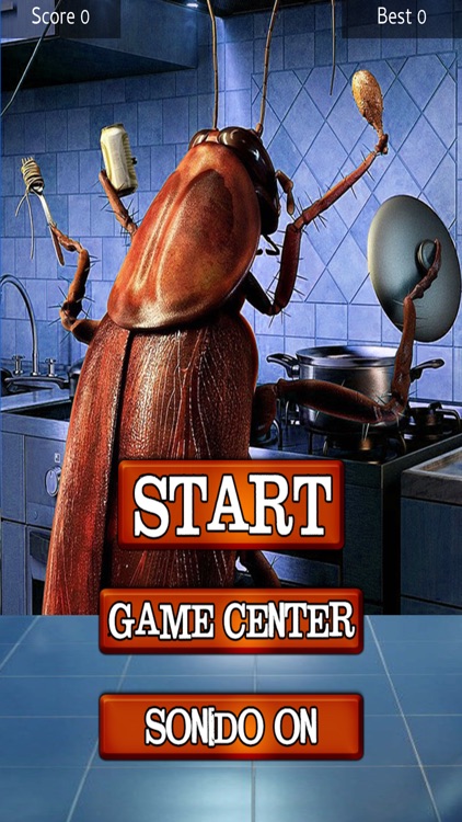 Cockroaches in the kitchen