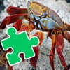 Jigsaw Puzzles Games Crab Edition