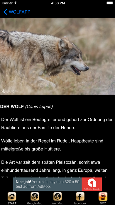 WolfApp screenshot