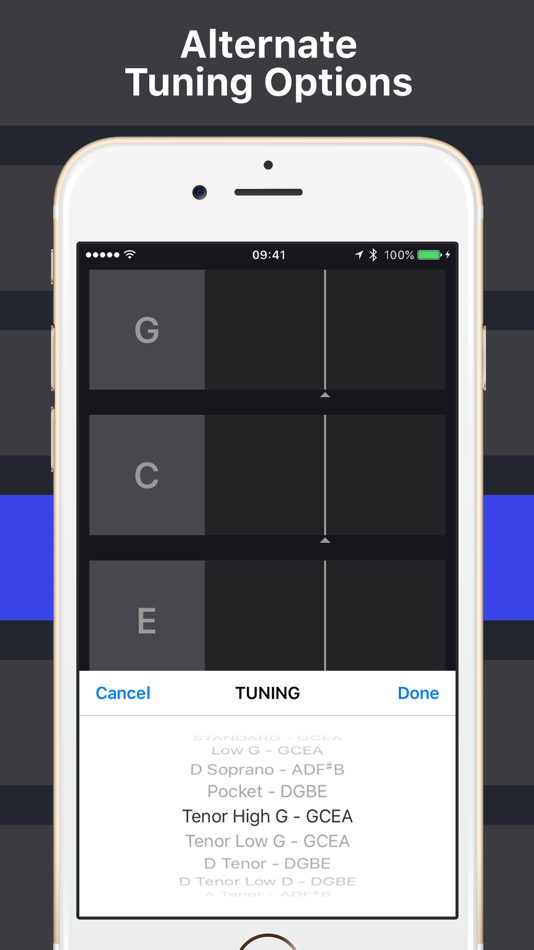 #3. Ukulele Tuner+ (iOS) By: Dynamic App Design LLC