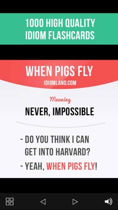 English Idioms Cards screenshot 1