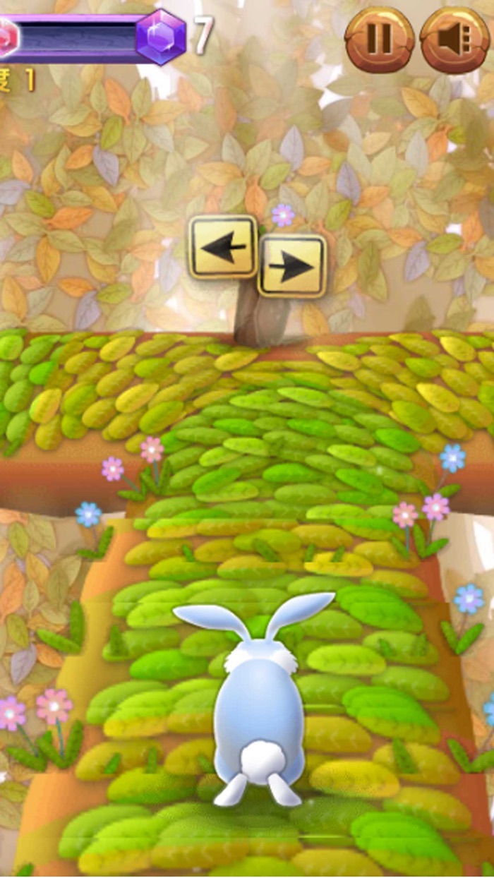 ウサギは速く走る