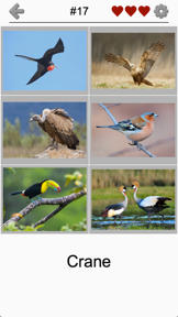 Bird World - Quiz about Famous Birds of the Earth screenshot