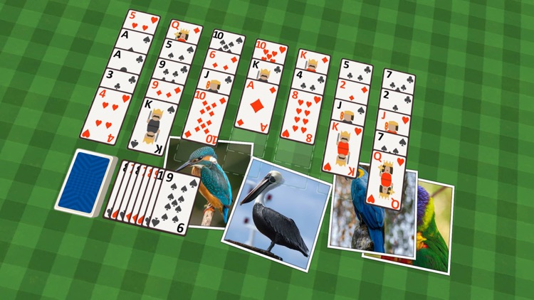 Golf Solitaire Birds