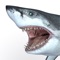 Talking Great White is your pet shark on your iPhone