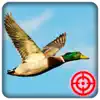 Duck Hunting Season: Wild Bird Shooting 3D negative reviews, comments